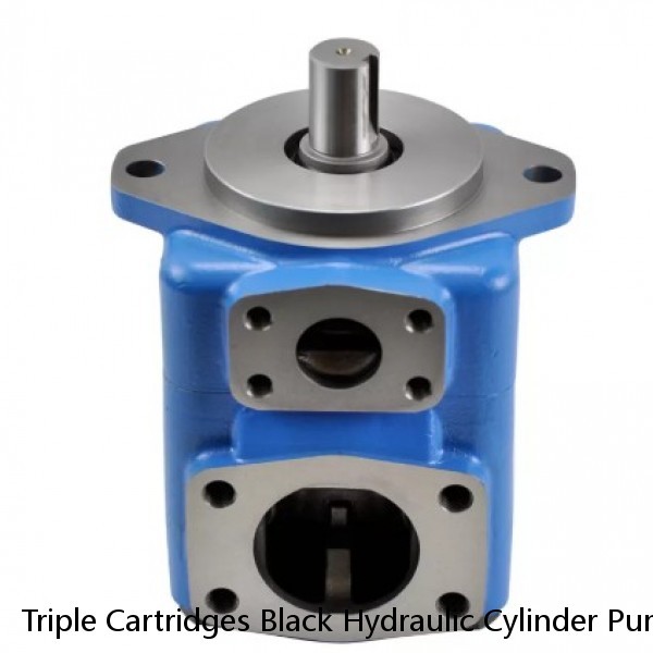 Triple Cartridges Black Hydraulic Cylinder Pump For Plastic Machinery