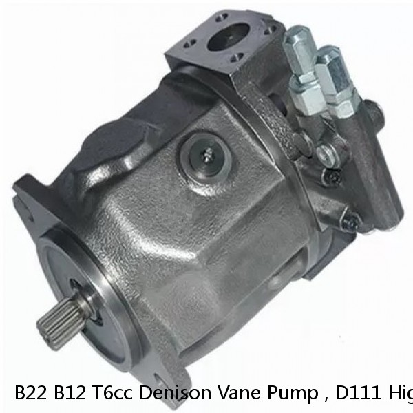B22 B12 T6cc Denison Vane Pump , D111 High Pressure Hydraulic Pump #1 small image