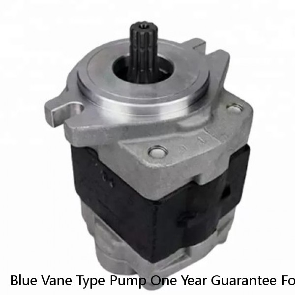 Blue Vane Type Pump One Year Guarantee For Injection Moulding Machine #1 small image