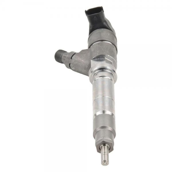 BOSCH 0445110176 injector #1 image